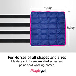 Horse Ice Pack - Cooling Leg Wraps for Hock, Ankle, Knee, Legs, Boots, and Hooves. (Twin Ice Boot, by Magic Gel)