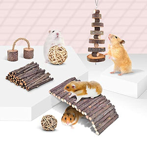 ERKOON 11 Pack Chinchillas Chew Toys, Toys Accessories for Teeth Care, Natural Apple Wood Ladder Bell Roller for Russian Hamster Gerbils Rats Guinea Pigs