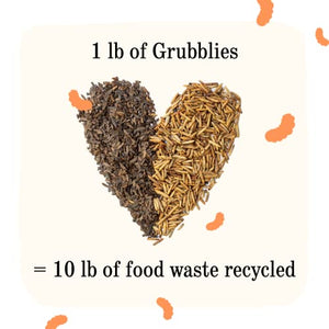 Grubblies Chicken Treats - Dried Black Soldier Fly Larvae - Healthier Than Mealworms for Chickens - Chicken Feed Supplement with 50x Calcium, Natural Grubs for Chickens, Hens, Ducks - 1 LB