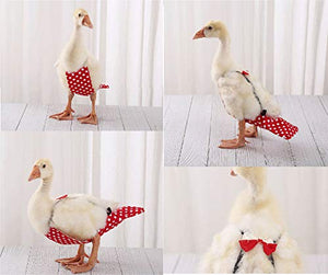 ABCD Chicken Diapers, Duck Diapers, Adjustable Chicken Diapers, Washable and Reusable, Chicken Costumes with Bows (Banana, L)