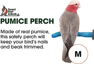 Sweet Feet and Beak Safety Pumice Perch Bird Toy - Trims Nails and Beak - Promotes Healthy Feet - Safe Non-Toxic Bird Supplies for Bird Cages - Medium 10"