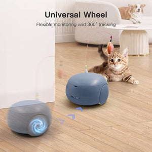 Pet Camera Treat Dispenser, Cat Dog Camera, Pumpkii Automatic Pet Feeder with App Remote Control, 2 Way Audio, 1080P HD Mobile Camera with Night Vision, Interactive Replaceable Cat Teaser