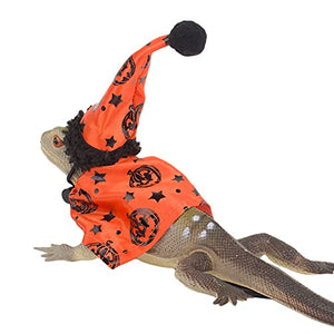 ADOGGYGO Bearded Dragon Halloween Hat Cloak Lizard Christmas Hat Scarf Set, Small Animal Halloween Christmas Festival Costume (Halloween & Xmas)