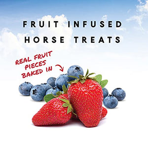 Nutrigood FruitSnax Horse Treats | Tasty Horse Treats Packed with Superfoods and Real Fruit Pieces | BerryMint + Oats Flavor | 2 Pounds