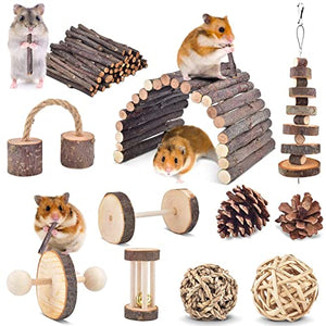 ERKOON 11 Pack Chinchillas Chew Toys, Toys Accessories for Teeth Care, Natural Apple Wood Ladder Bell Roller for Russian Hamster Gerbils Rats Guinea Pigs