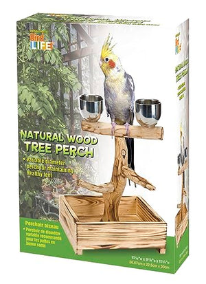 PENN-PLAX Bird-Life Natural Wood Tree Perch for Small and Medium Birds – Includes 2 Stainless Steel Cups and Drop Tray – Medium