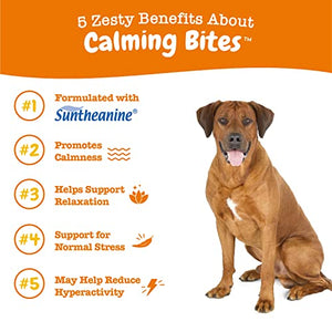 Zesty Paws Calming Chews for Dogs - Composure & Relaxation for Everyday Stress & Separation - with Ashwagandha, Organic Chamomile, L-Theanine & L-Tryptophan – Peanut Butter - 90 Count