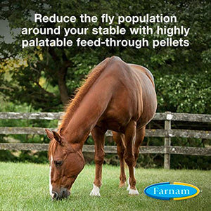 Farnam SimpliFly Feed Through Fly Control for Horses, Breaks the Fly Life Cycle, Pellets, 3.75 Pound Bucket, 60 Day Supply for One Horse