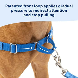 PetSafe Easy Walk No-Pull Dog Harness - The Ultimate Harness to Stop Pulling - Take Control & Teach Better Leash Manners - Helps Prevent Pets Pulling on Walks - Large, Black/Silver