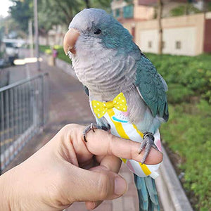 KAMA BRIDAL Bird Diaper Parrot Washable Diaper Nappies for Parakeet Cockatiel Mini Macaw Budgie Canary Flight Suit 2 Pcs