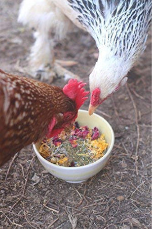 Pampered Chicken Mama Backyard Chicken Nesting Herbs for Great Eggs 10 oz - All-Natural Backyard Chicken Feed Supplies - Hen Treats for The Best Eggs Ever - High Calcium Supplement for Chickens