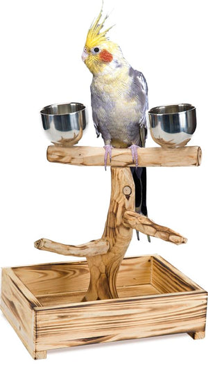 PENN-PLAX Bird-Life Natural Wood Tree Perch for Small and Medium Birds – Includes 2 Stainless Steel Cups and Drop Tray – Medium