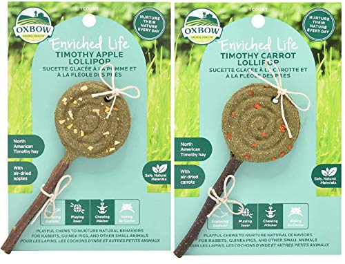 Oxbow Animal Health Bundle of 2 Enriched Life Timothy =Lollipop Small Animal Chew Treats: Apple and Carrot