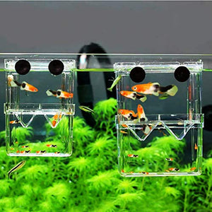 Petzilla in-Tank Aquarium Breeder Box for Fish Tank, Breeding Incubator for Small Fish Hatchery, Acrylic Divider for Shrimp Clownfish Aggressive Fish Injured Fish (Small)