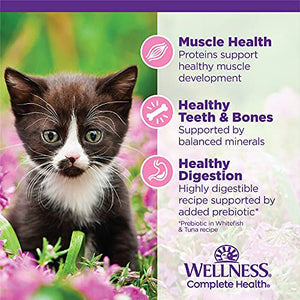 Wellness Complete Health Grain-Free Wet Canned Kitten Food, Made in USA with Real Meat, All Breeds, Smooth Pate (Kitten, Whitefish & Chicken Bundle, 3-Ounce Can, Pack of 12)