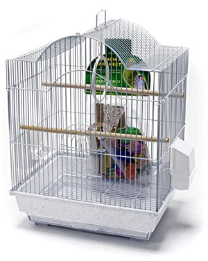 PENN-PLAX Small Bird Starter Kit with Birdcage and Accessories – Great for Parakeets, Lovebirds, Parrotlets, Finches, Canaries, and More – Arch Style Cage – White