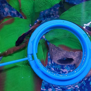 zhuohai Fish Feeding Ring Floating Food Feeder Circle with Suction Cup Easy to Install Aquarium (Round)