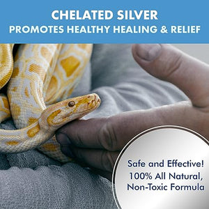 PetSilver Wound Reptile, Snake & Lizard Formula with Chelated Silver - Made in USA - Vet Formulated - Natural Pain Free Formula - Relief Support for Skin Issues, Sores, Scale Rot 2 fl oz