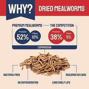 Hatortempt 2 lb Dried Mealworms for Wild Birds & Chickens- Premium Non-GMO Organic Feed- Nutritious High Protein Dried Meal Worms, Food and Treats for Laying Hens, Bluebirds, Ducks, Reptiles, Hedgehog