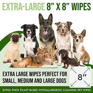 Petazy 400 Dog Wipes for Paws and Butt Ears Eyes | Organic Pet Wipes for Dogs | Lavender Scented Dog Wipes Cleaning Deodorizing | Extra Thick Paw Wipes for Dogs Cats Pets | Bonus Glove Wipes Included