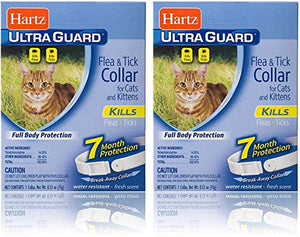 Hartz Ultra Guard Flea and Tick for Cat and Kitten Collar (2-Pack)