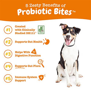 Zesty Paws Probiotics for Dogs - Digestive Enzymes for Gut Flora, Digestive Health, Diarrhea & Bowel Support - Clinically Studied DE111 - Dog Supplement Soft Chew for Pet Immune System - Pumpkin