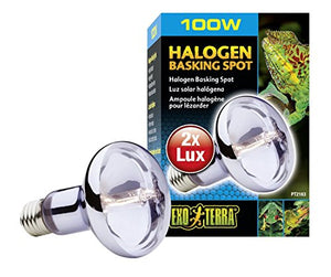 Exo Terra Sun Glo Halogen Basking Spot Lamp, Reptile Light Bulb, 100 Watts, PT2183