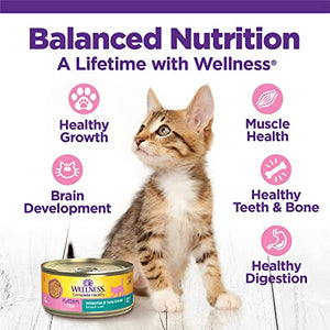 Wellness Complete Health Grain-Free Wet Canned Kitten Food, Made in USA with Real Meat, All Breeds, Smooth Pate (Kitten, Whitefish & Chicken Bundle, 3-Ounce Can, Pack of 12)