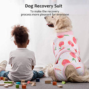 Kuoser Recovery Suit for Dogs Cats After Surgery, Professional Pet Recovery Shirt Dog Abdominal Wounds Bandages, Substitute E-Collar & Cone,Prevent Licking Dog Onesies Pet Surgery Recovery Suit