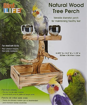 PENN-PLAX Bird-Life Natural Wood Tree Perch for Small and Medium Birds – Includes 2 Stainless Steel Cups and Drop Tray – Medium