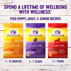 Wellness Complete Health Dry Dog Food with Grains, Made in USA with Real Meat & Natural Ingredients, All Breeds, Adult Dogs (Chicken & Oatmeal, 30-lb) – With Nutrients for Immune, Skin, & Coat Support