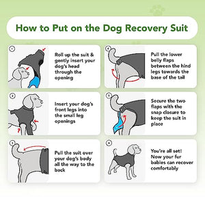 Recovery Suit for Dogs - Dog Surgery Recovery Suit with Clip-Up System - Breathable Fabric for Spay, Neuter, Skin Conditions, Incontinence - Medium Dog Suit by Suitical, Black