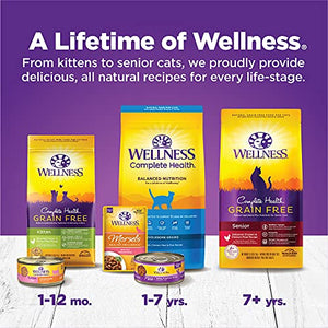 Wellness Complete Health Grain-Free Wet Canned Kitten Food, Made in USA with Real Meat, All Breeds, Smooth Pate (Kitten, Whitefish & Chicken Bundle, 3-Ounce Can, Pack of 12)