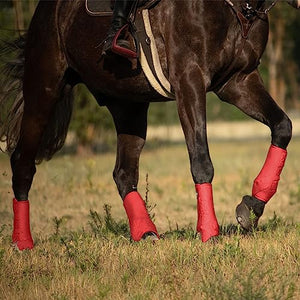 Harrison Howard Horse Sport Medicine Front Shock-Absorbing Boots All-Round Lower Limb Protection & Support Sport Boots Athletic Boots Perfect for Endurance Training and Performance