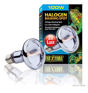 Exo Terra Sun Glo Halogen Basking Spot Lamp, Reptile Light Bulb, 100 Watts, PT2183