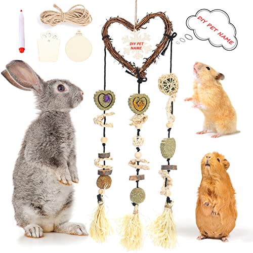 DAMPET Bunny Chew Toys， Bunny Teeth Grinding Chew Toys, Rabbit Cage Hanging Chew Toys, All Natural Materials for Guinea Pigs, Hamsters, Rabbits and Rats