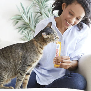 INABA Churu Cat Treats, Grain-Free, Lickable, Squeezable Creamy Purée Cat Treat/Topper with Vitamin E & Taurine, 0.5 Ounces Each Tube, 20 Tubes, Chicken Variety Box