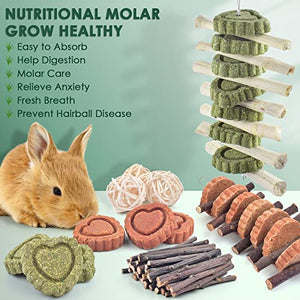 KATUMO Rabbit Treats, Natural Bunny Treats Organic Apple Stick Sweet Bamboo Timothy Hay Chew Toys