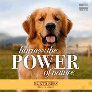 Burt's Bees for Pets Natural Detangling Spray | Made with Lemon & Linseed to Nourish Dogs' Coats | Cruelty Free, Sulfate & Paraben Free, pH Balanced for Dogs - Made in USA, 10 Oz