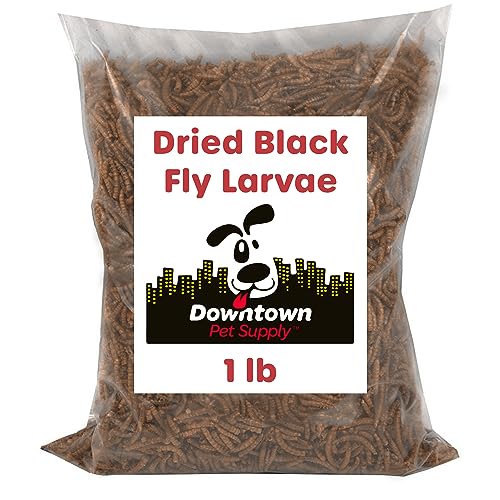 Downtown Pet Supply 1 LB Black Soldier Fly Larvae for Wild Birds, Poultry, Reptiles, and Small Mammals Rich in Vitamin B12, B5, Protein, Fiber, Omega 3 Fatty Acids - Great as Mealworms for Chicken