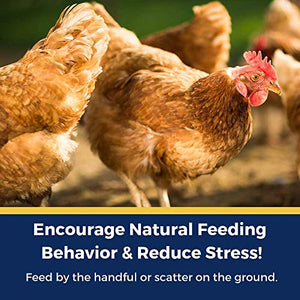 Pampered Chicken Mama Backyard Chicken Nesting Herbs for Great Eggs 10 oz - All-Natural Backyard Chicken Feed Supplies - Hen Treats for The Best Eggs Ever - High Calcium Supplement for Chickens