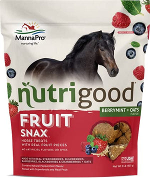 Nutrigood FruitSnax Horse Treats | Tasty Horse Treats Packed with Superfoods and Real Fruit Pieces | BerryMint + Oats Flavor | 2 Pounds