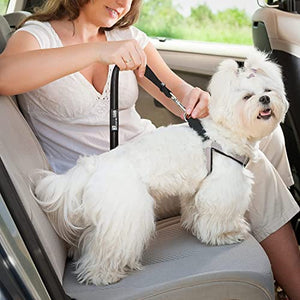 Comfortable Dog Seat Belt Harness for Car - 2-in-1 Leash and Restraint Secures to Headrest. Adjustable Bungee, Strong, Durable, 360 Degree Swivel Attach Won't Twist, Reflective, Easy to Use (Black)