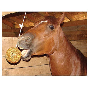 Uncle Jimmys 2 Pack Of Hanging Ball Apple Flavored Treats For Horses, 3 Pound Each