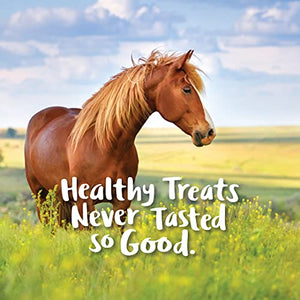 Nutrigood FruitSnax Horse Treats | Tasty Horse Treats Packed with Superfoods and Real Fruit Pieces | BerryMint + Oats Flavor | 2 Pounds