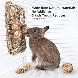 andwe Seagrass Protector Mat with Toys for Rabbit Bunny Chinchilla Guinea Pigs or Other Rodent Pets (11 X 7.87-inch)