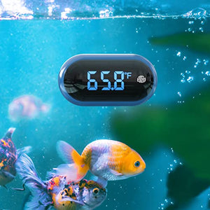 LED Fish Tank Thermometer, PAIZOO Digital Aquarium Thermometer with Touch Screen, Range of 32-211℉, Accuracy & Energy-Saving Stick-on Wireless Thermometer for Glass Containers, Turtle Tank, Aquariums