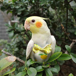 KAMA BRIDAL Bird Diaper Parrot Washable Diaper Nappies for Parakeet Cockatiel Mini Macaw Budgie Canary Flight Suit 2 Pcs