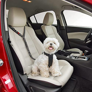 Comfortable Dog Seat Belt Harness for Car - 2-in-1 Leash and Restraint Secures to Headrest. Adjustable Bungee, Strong, Durable, 360 Degree Swivel Attach Won't Twist, Reflective, Easy to Use (Black)