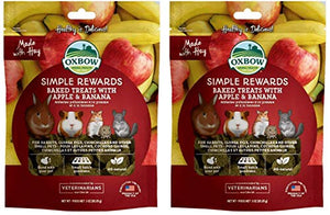 Oxbow Simple Rewards Baked Treats with Apple and Banana Flavor, 3 oz (2 Pack / 6 oz total)